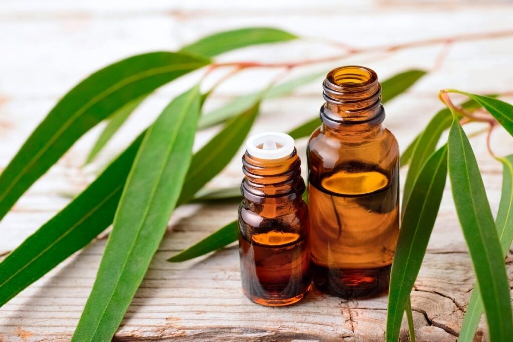 5 Essential Oils to use in Massage Therapy